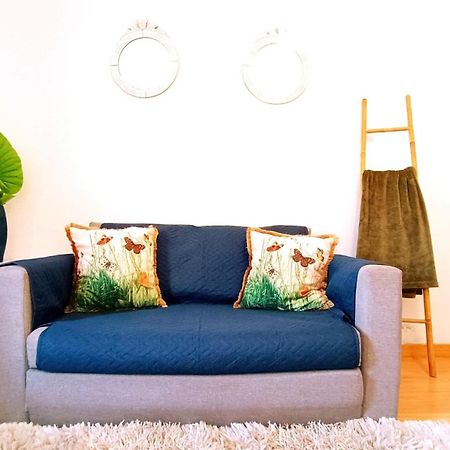 Gardunha Apartments 3º Direito Fundão エクステリア 写真